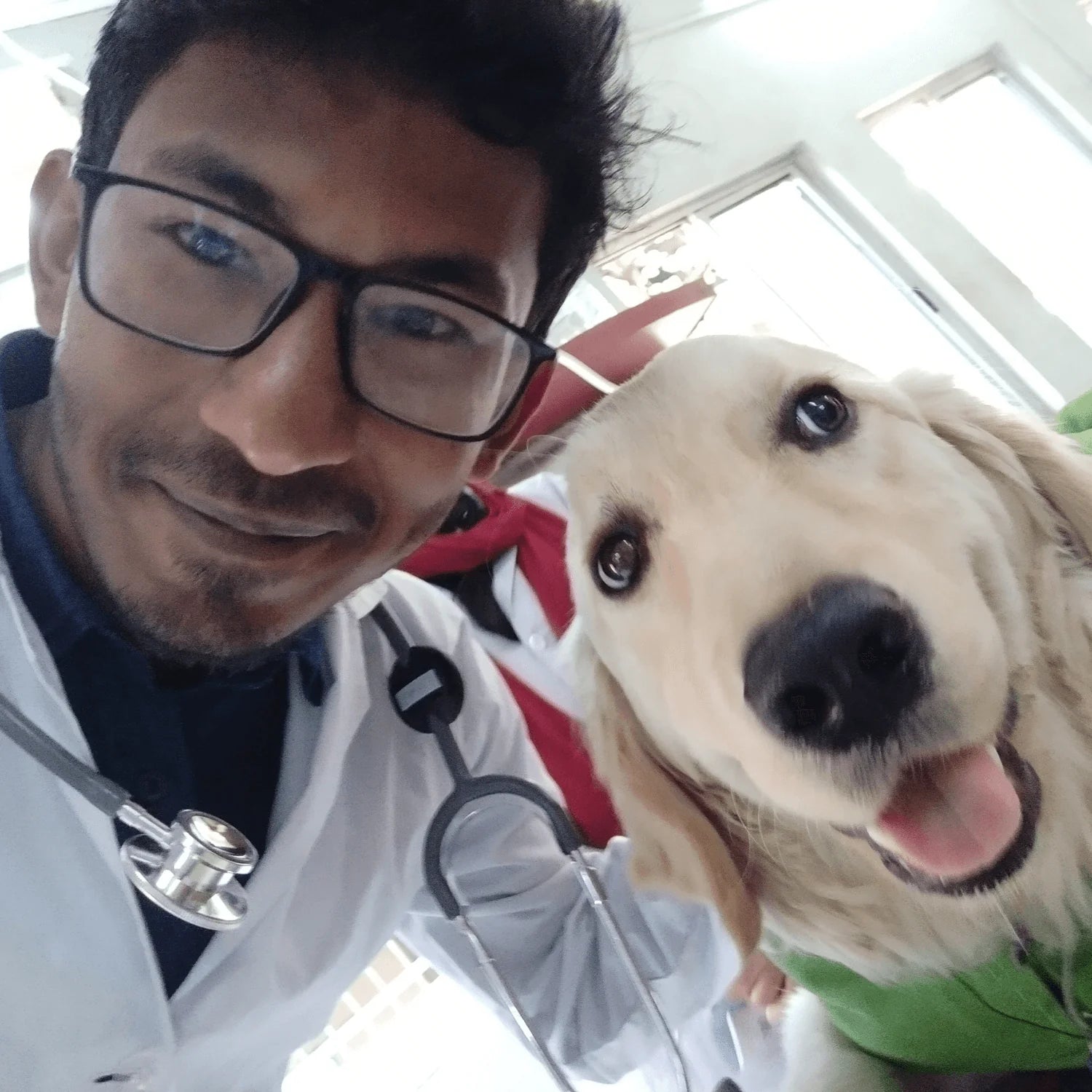 files/furlife_doc_1.webp