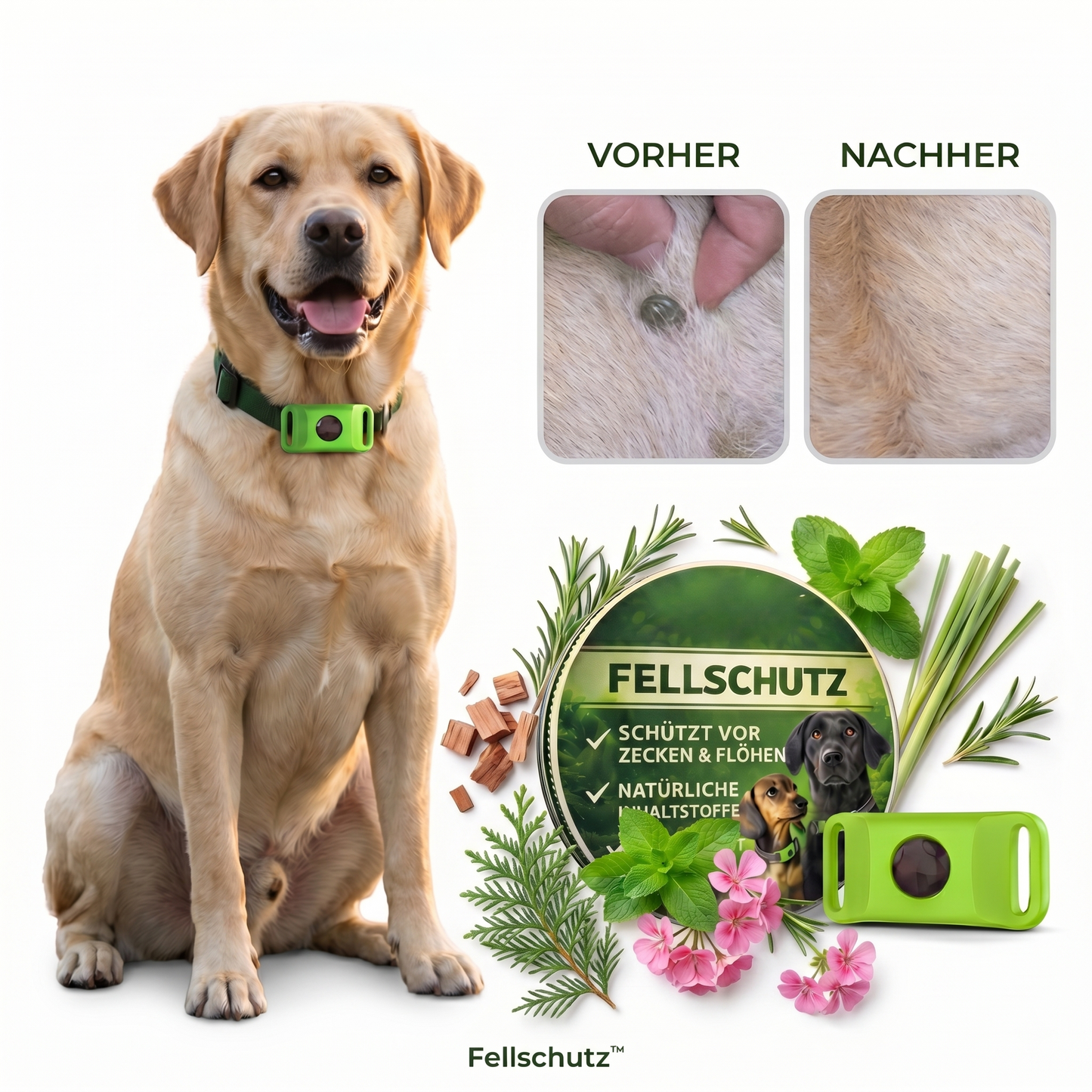 Natürlicher Schutz vor Zecken & Flöhen