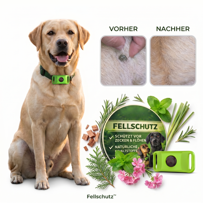 Natürlicher Schutz vor Zecken & Flöhen